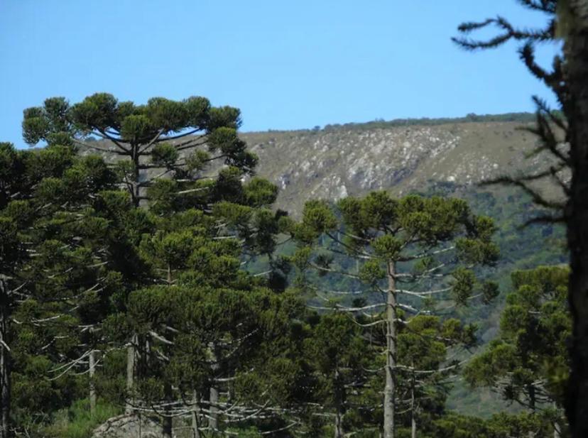 Estalagem Villa Serrana Urubici Bagian luar foto
